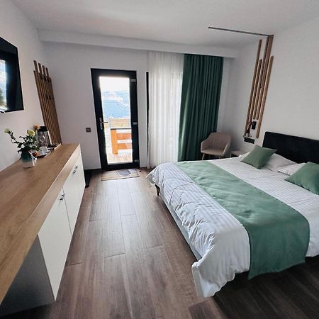 Panoramic Residence Borşa 외부 사진