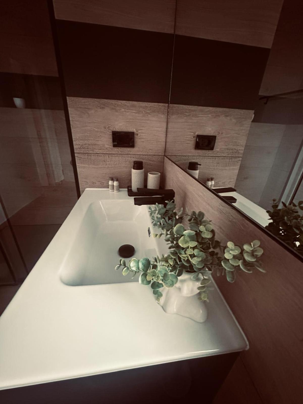Panoramic Residence Borşa 외부 사진